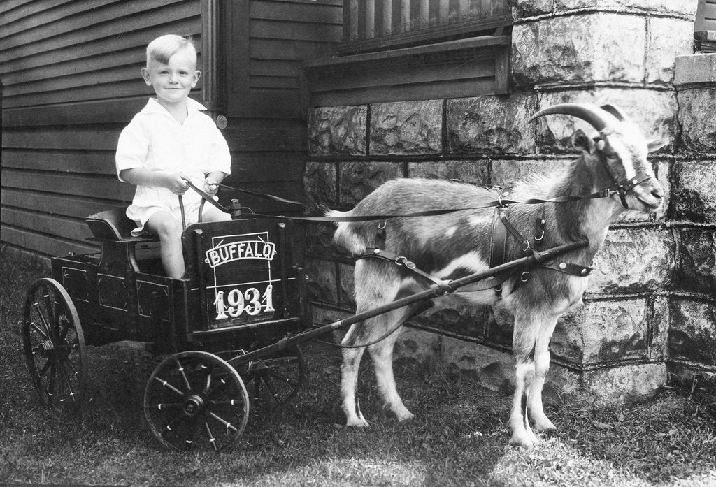 Buffalo Memories II: The Early Years and the 1940s