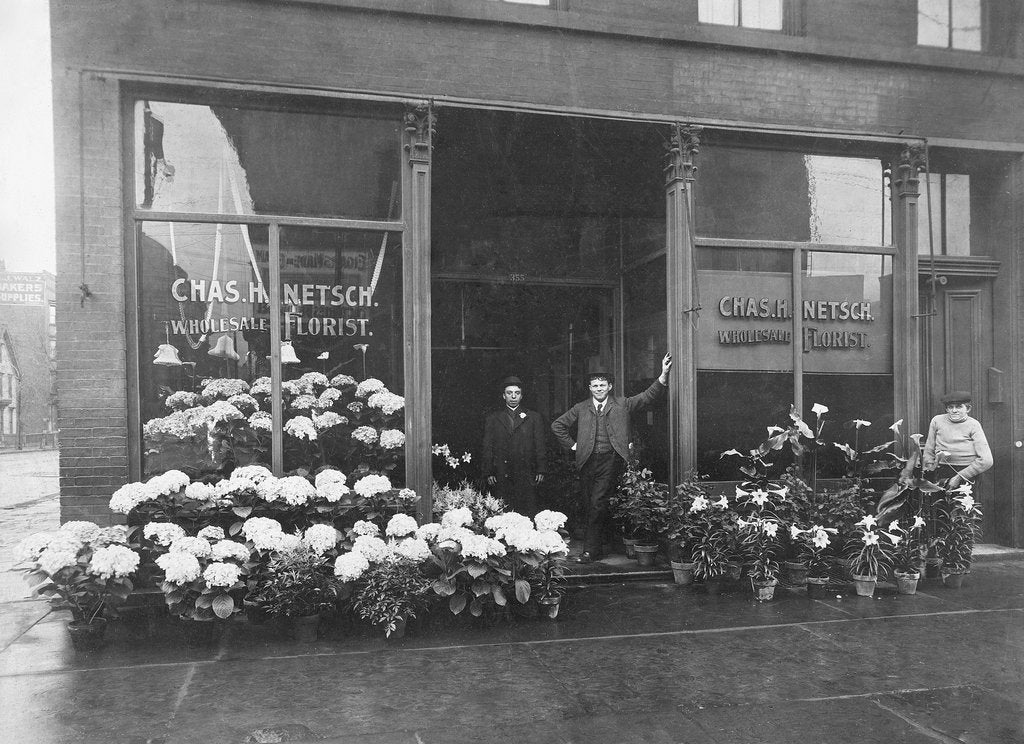 Buffalo Memories II: The Early Years and the 1940s