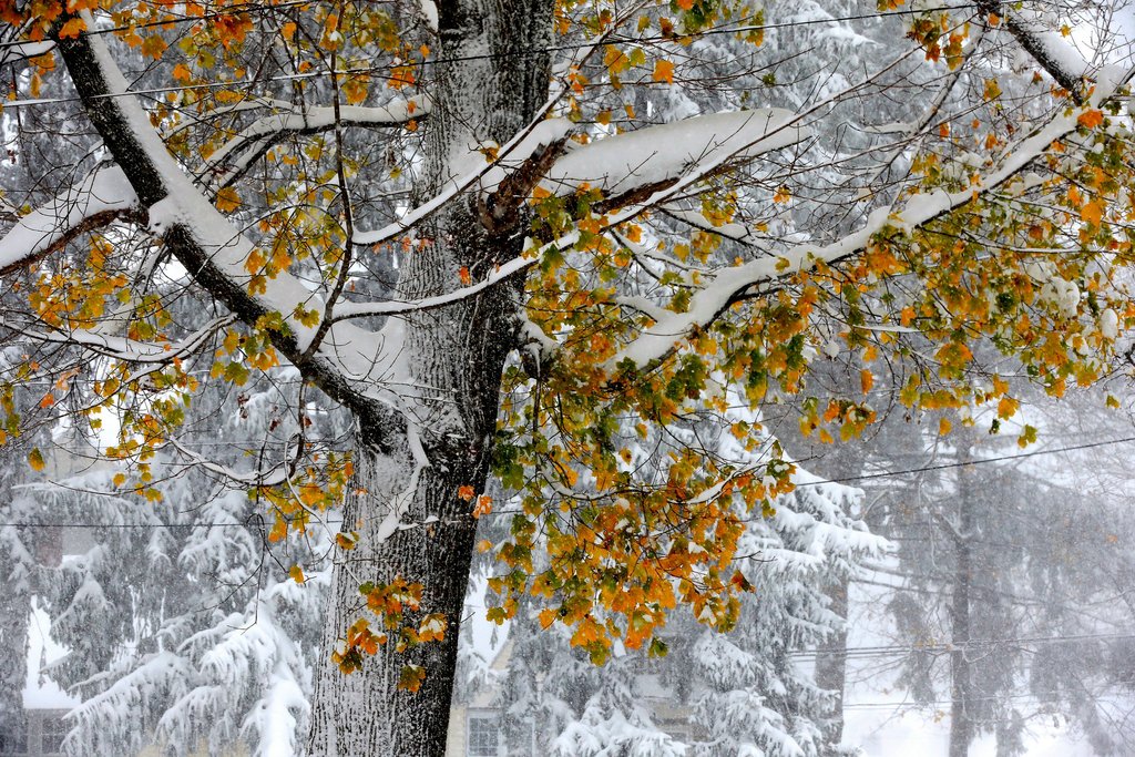 Wall of Snow: The Historic WNY Snowstorm of 2014